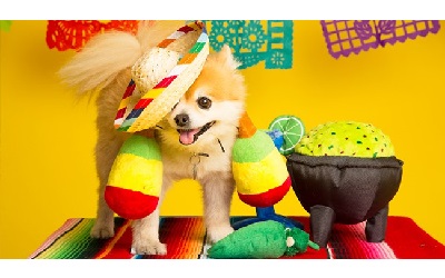Fiesta Time (Planning for Cinco De Mayo)
