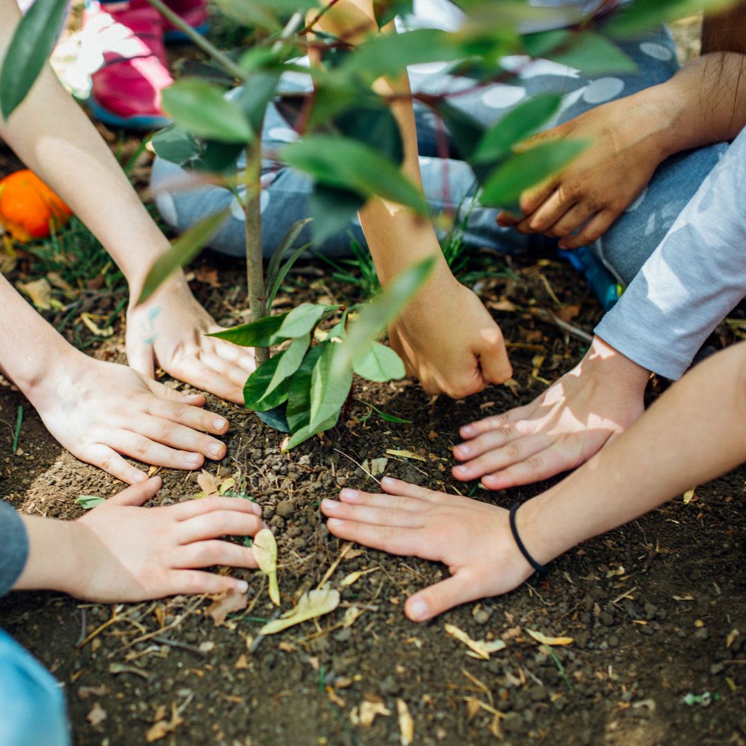 Earth Day - April 22