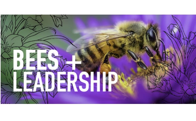 Bees and Leadership